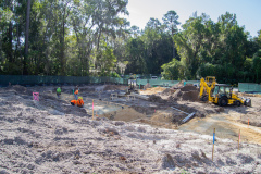 AGR_Progress_10.15.20_10