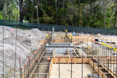 AGR_Progress_10.29.20_08