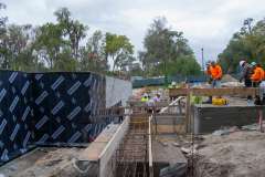 AGR_Progress_11.19.20_06