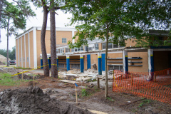 HowardBishop_Progress_11.19.20_20