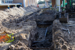 HowardBishop_Progress_11.05.20_08