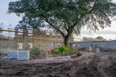 HowardBishop_Progress_10.29.20_06